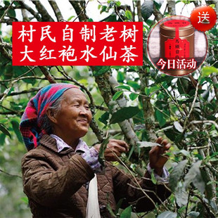村民自制50年老树水仙茶，带木质味