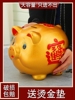 猪猪存钱罐只进不出2023年大号超大容量创意款金猪储钱罐男生