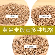 黄金麦饭石颗粒 韩国流行的 陶粒营养土 多肉铺面石 黄金软麦饭石