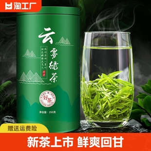 2023年新茶叶(新茶叶)春茶业，绿茶日照充足高山，云雾茶浓香型好喝的罐装散装