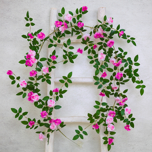 仿真玫瑰花藤蔷薇藤蔓假花装饰空调管道缠绕塑料藤条墙面植物遮挡