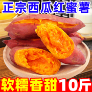 正宗西瓜红红薯10斤新鲜糖心板栗薯六鳌蜜薯沙地番薯地瓜农家自种