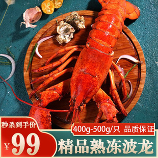 龙虾鲜活速冻冻虾加拿大波士顿龙虾大龙虾深海野生龙虾一只海鲜