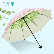 发布 双层防晒 小清新晴雨两用