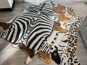印花斑马老虎豹纹奶牛动物，欧式条纹轻奢地垫，床边毯家用茶几卧室