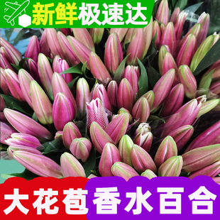 百合花鲜花云南基地直发玫瑰鲜切花水养客厅家居插花速递同城