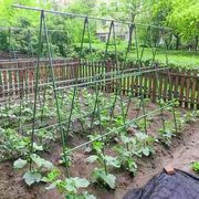 花架爬藤架园艺支撑杆葡萄黄瓜豆角丝瓜月季蔬菜种植包塑钢管支架