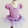 紫色舞蹈裙短袖连体服裙少儿，芭蕾舞练功服中国舞台儿童公主演出服