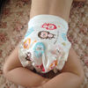 5条婴儿尿布裤秋冬纯棉可洗透气介子尿布兜防水新生宝宝尿布尿裤