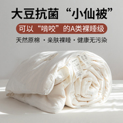 A类原棉大豆纤维被棉被被芯可水洗四季通用春秋单双人被200×230