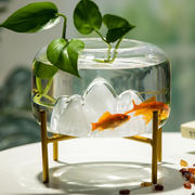 洛鲁玻璃鱼缸桌面圆形小型创意，精致雪山金，鱼缸迷你水族客厅摆件白