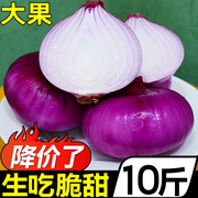 云南水果洋葱10斤新鲜紫皮圆葱蔬菜当季扁大小，洋葱头甜味生吃脆甜