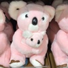 广州长隆纪念品野生动物园母子考拉，树熊毛公仔(毛，公仔)毛绒玩具礼物手信