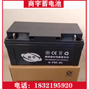 蓄电池6FM100AH12V38AH65AH120AH150太阳能应急照明直流屏ups