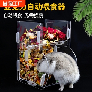 小仓鼠食盒喂食器金丝熊花枝(熊，花枝)鼠食盆自动喂食器专用造景大容量大号