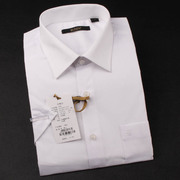 BUSEN步森衬衫男女正装纯白色商务短袖衬衣夏季青年时尚职业衬衫