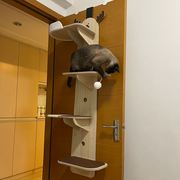 猫架猫爬架猫窝猫树一体不占地小型实木挂门式，猫跳台免打孔墙壁式