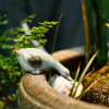 陶瓷小鸭子鱼缸装饰品动物摆件花园，庭院盆栽假山造景微景观茶桌池