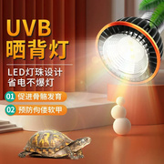 乌龟晒背灯uvb灯全光谱太阳灯，架爬宠专用龟缸加热灯，保温灯uva灯泡