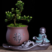 紫砂花盆创意组合文竹盆栽客厅桌面禅意小和尚摆件办公榕树陶瓷盆
