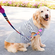 大狗狗衣服夏季薄款金毛，背心拉布拉多夏天防掉毛中型犬，大型犬夏装