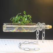 创意铁艺悬挂水培玻璃花瓶新奇悬浮多肉酒瓶盆栽，家居酒柜桌面装饰