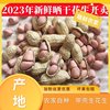 无干燥剂23年新货生花生带壳晒干花生养胃花生下酒菜整箱