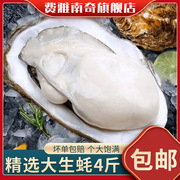 福建生蚝4斤整箱鲜活生蚝肉新鲜大牡蛎带壳海蛎子贝类