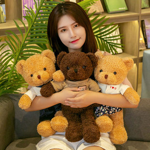 泰迪熊抱抱熊熊猫小熊，公仔布娃娃毛绒玩具小号，送女友生日礼物女生