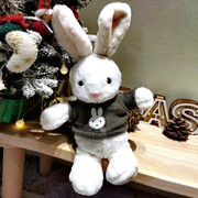 可爱小兔子玩偶兔公仔小兔，兔毛绒玩具安抚兔，布娃娃送女友生日礼物