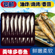 多春鱼满籽新鲜海鲜鱼类水产烧烤煎炸家用商用170g营养美味食材