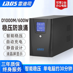 雷迪司ups不间断电源D1000M600W