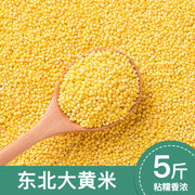 2023年新东北大黄米正宗农家自产5斤新米粘黄米糯黄米煮粥黍米