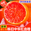 秭归血橙新鲜橙子10斤水果，当季脐沃纽，荷尔柑橘时令冰糖手剥红橙