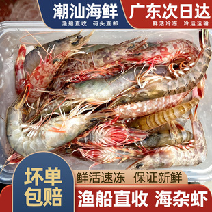 海杂虾小斑节虾海虾虾红虾白虾潮汕海鲜，水产非对虾鸡冠虾樱花虾