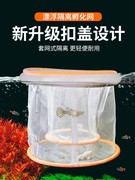 孔雀鱼孵化密网繁殖盒漂浮网多功能繁殖网小鱼生产孵化鱼缸隔离网