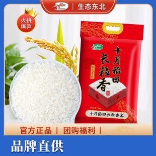 十月稻田长粒香米东北大米，香米粳米米饭，煮粥5kg10斤