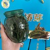 山东新泰特产头茬嫩香椿芽咸菜礼盒，180g*4瓶农家手工盐渍香椿下饭