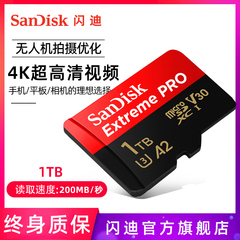 sandisk闪迪1tb手机内存卡