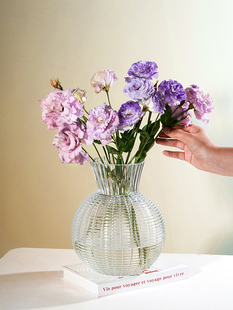 网红轻奢灯笼花瓶大肚，玻璃花器客厅插花透明水养鲜花干花装饰摆件