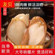 湛江大号响螺片250g干货海产品煲汤材料天然淡晒海螺肉海鲜特产物