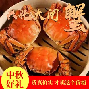 10只特大大闸蟹鲜活螃蟹公母搭配套餐海鲜水产