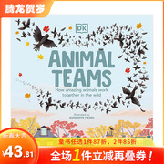 DK百科系列Animal Teams，动物团队合作 英文儿童绘本 动物百科科普 3-6岁 原版正版进口图书书籍 Charlotte Milner