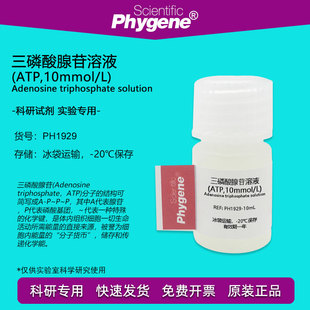三磷酸腺苷溶液(atp10mmoll)10ml实验试剂科研专用phygene