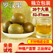 罗汉果干果泡茶广西桂林永福特产散装罗汉果大果20个独立包装