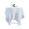 法式宫廷刺绣镂空简约小清新透明网纱白色，圆桌蕾丝野餐长方形