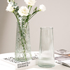 两件套ins风北欧玻璃花瓶，大号透明水养富贵竹桌面客厅插花摆件