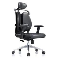 人体工学电脑椅久坐升降办公椅老板椅电竞椅护腰双背椅网布头枕