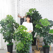 假树客厅室内花装饰假绿植盆景仿真发财树大型落地盆栽植物塑料