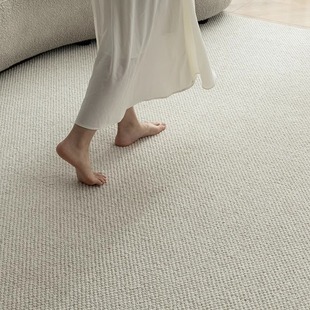 羊毛地毯客厅2024简约免洗可擦满铺卧室地，垫子纯色轻奢高级